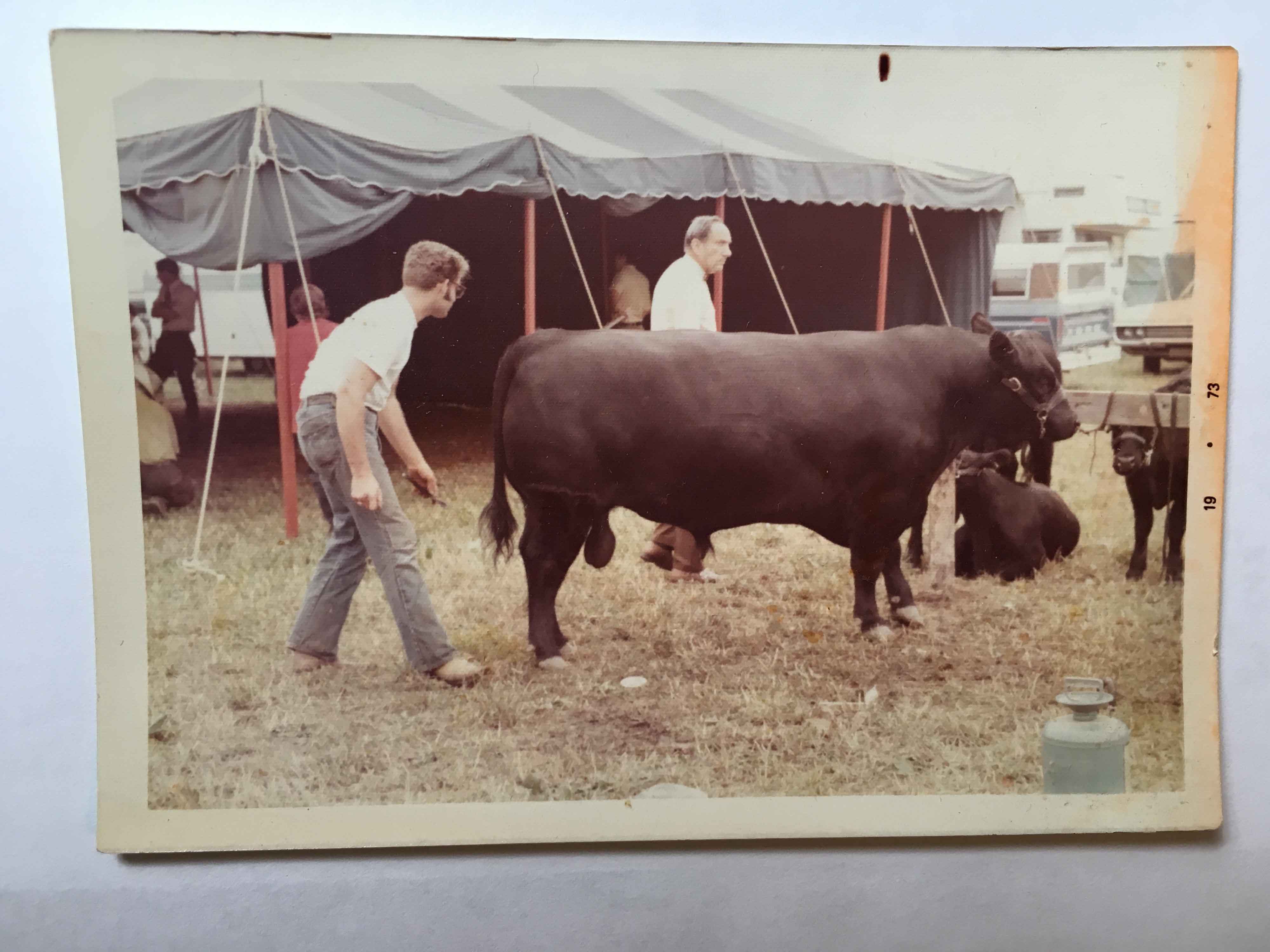 Dr. Richard Guise with a bull - 1976